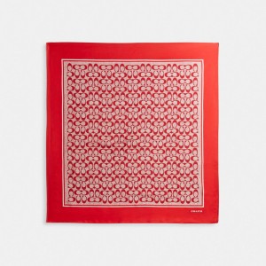 Dámské Šátek Coach Vintage Signature Print Silk Square Červené | CZ DFA424